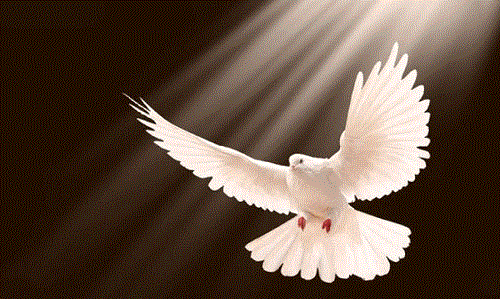 Where does the bible say holy spirit is "Almighty God"...