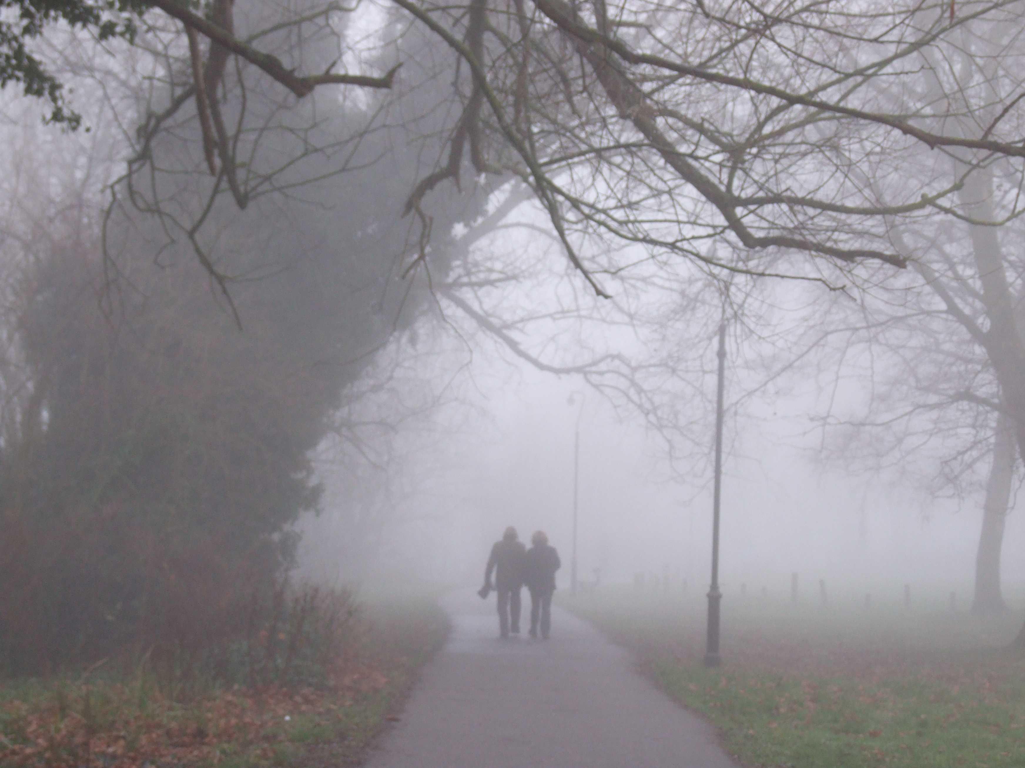 Fog