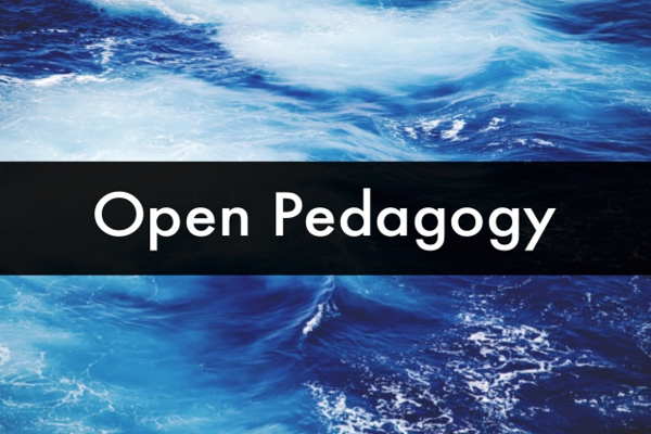 Textbook and Pedagogy, Explanation of Chapter Openness and Closeness