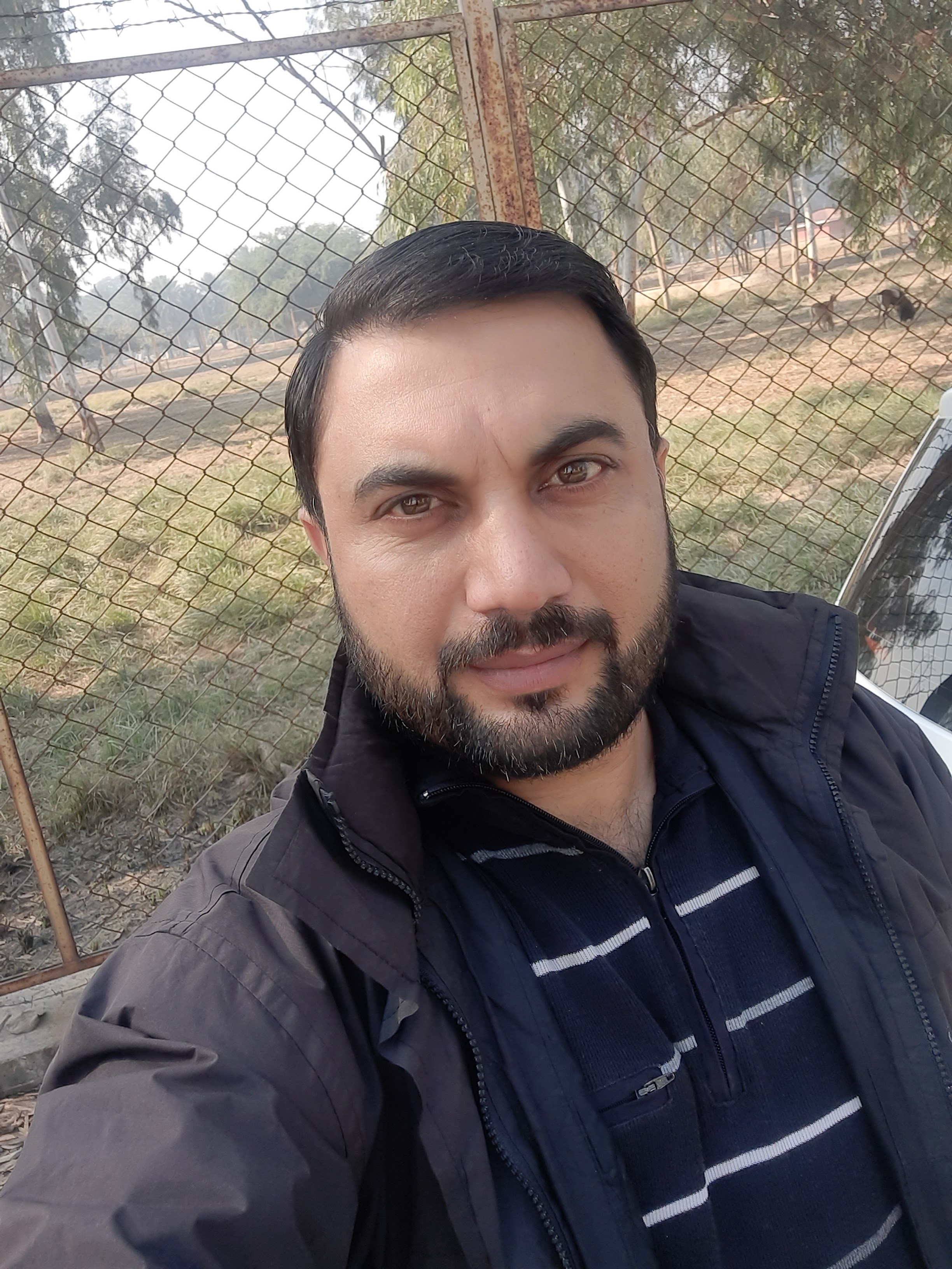 Irfan Rashid